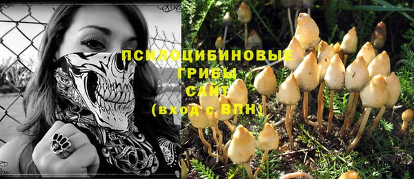 мдма Белокуриха